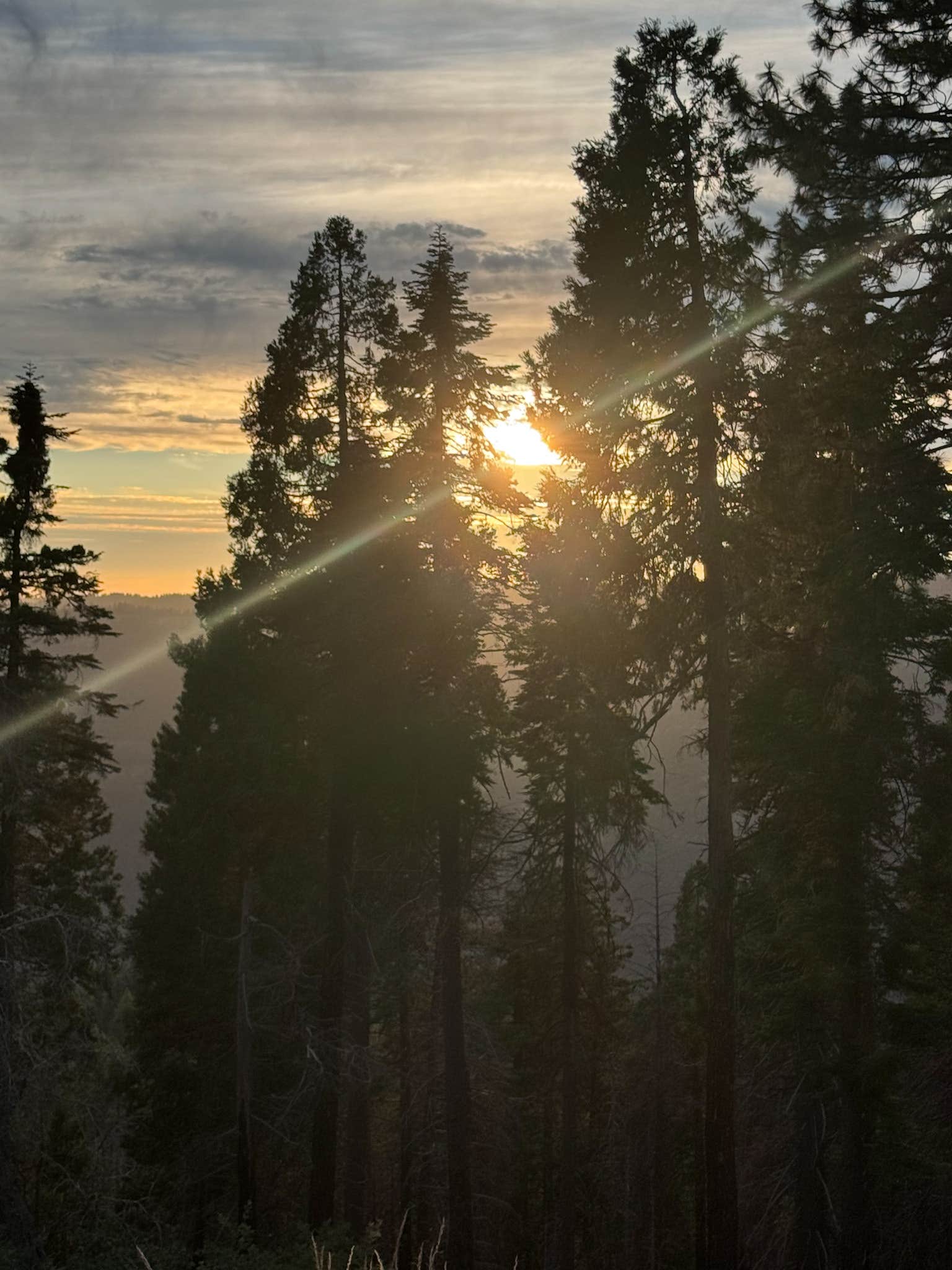 Camper-submitted photo at Forest Route 4N39 Dispersed near Stanislaus National Forest