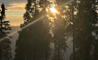 Leslie M.'s photo of a dispersed camping area at Forest Route 4N39 Dispersed near Mather, CA