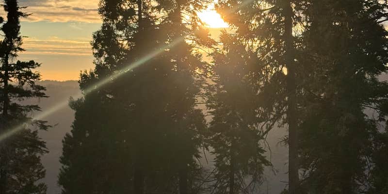 Camper submitted image from Forest Route 4N39 Dispersed