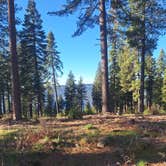 Review photo of Forest Route 4N39 Dispersed by Brian V., December 13, 2025