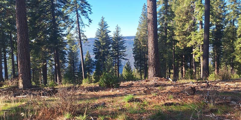 Camper submitted image from Forest Route 4N39 Dispersed