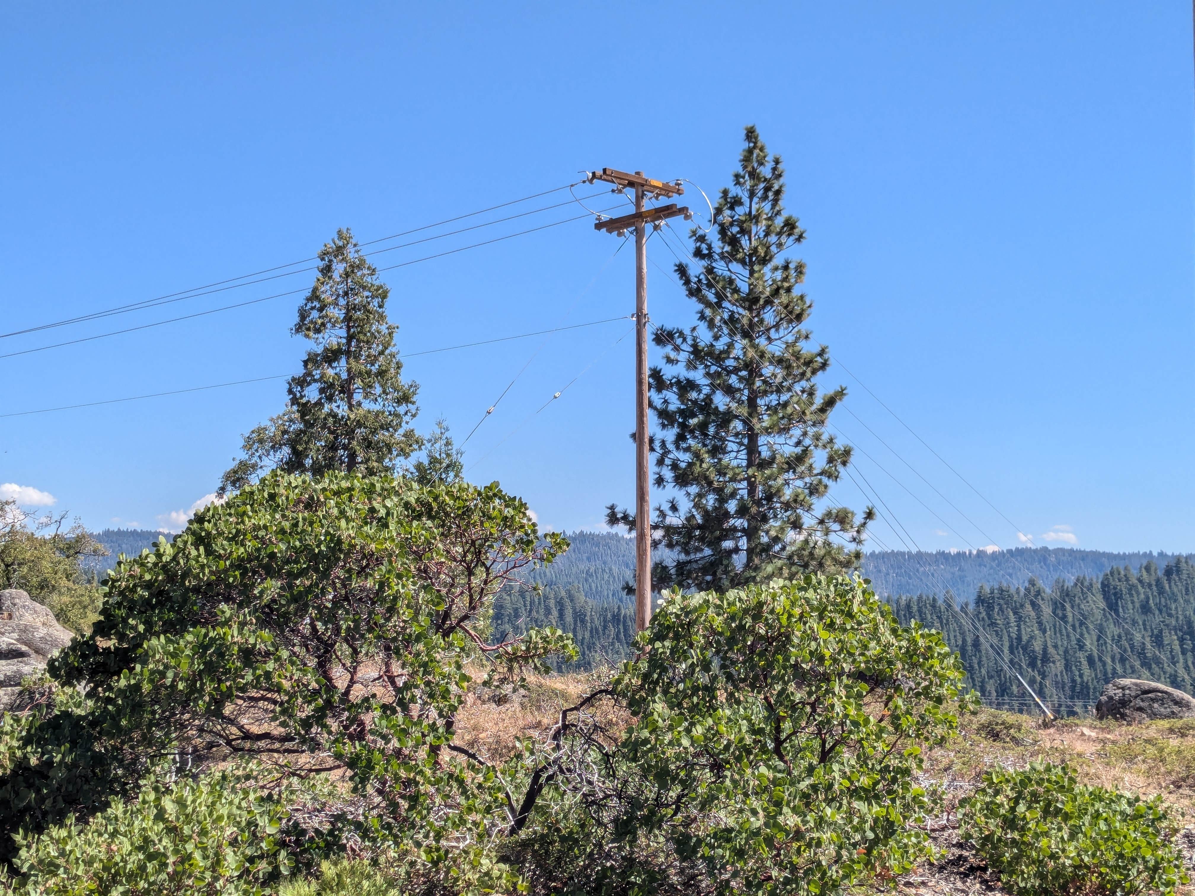 Camper-submitted photo at Forest Route 4N39 Dispersed near Angels, CA