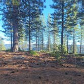 Review photo of Forest Route 4N39 Dispersed by Brian V., December 13, 2025