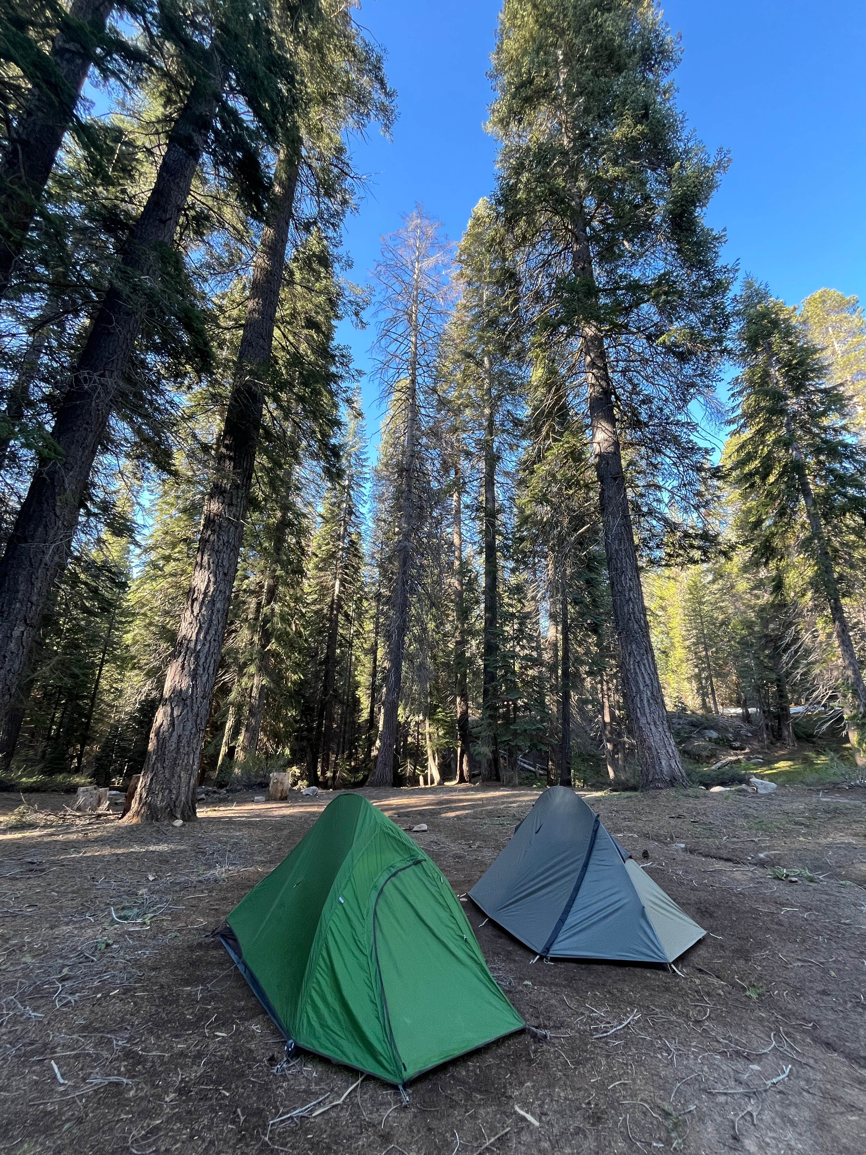 Camping near Upper Stony Creek Campground — Sequoia National Forest: Forest Rd 14S29, Hartland, California