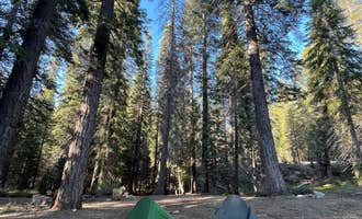 Camping near Big Meadows Cabin (CA): Forest Rd 14S29, Hartland, California