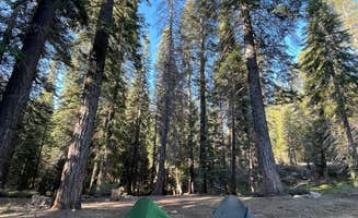 Mo H.'s photo of a dispersed camping area at Forest Rd 14S29 near Kaweah, CA