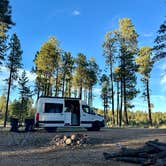 Review photo of Forest Service #225 Road Dispersed Camping by Paige M., September 24, 2024