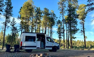 Paige M.'s photo at Forest Service #225 Road Dispersed Camping near Jacob Lake, AZ