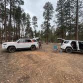 Review photo of Forest Service #225 Road Dispersed Camping by Erin S., April 6, 2024