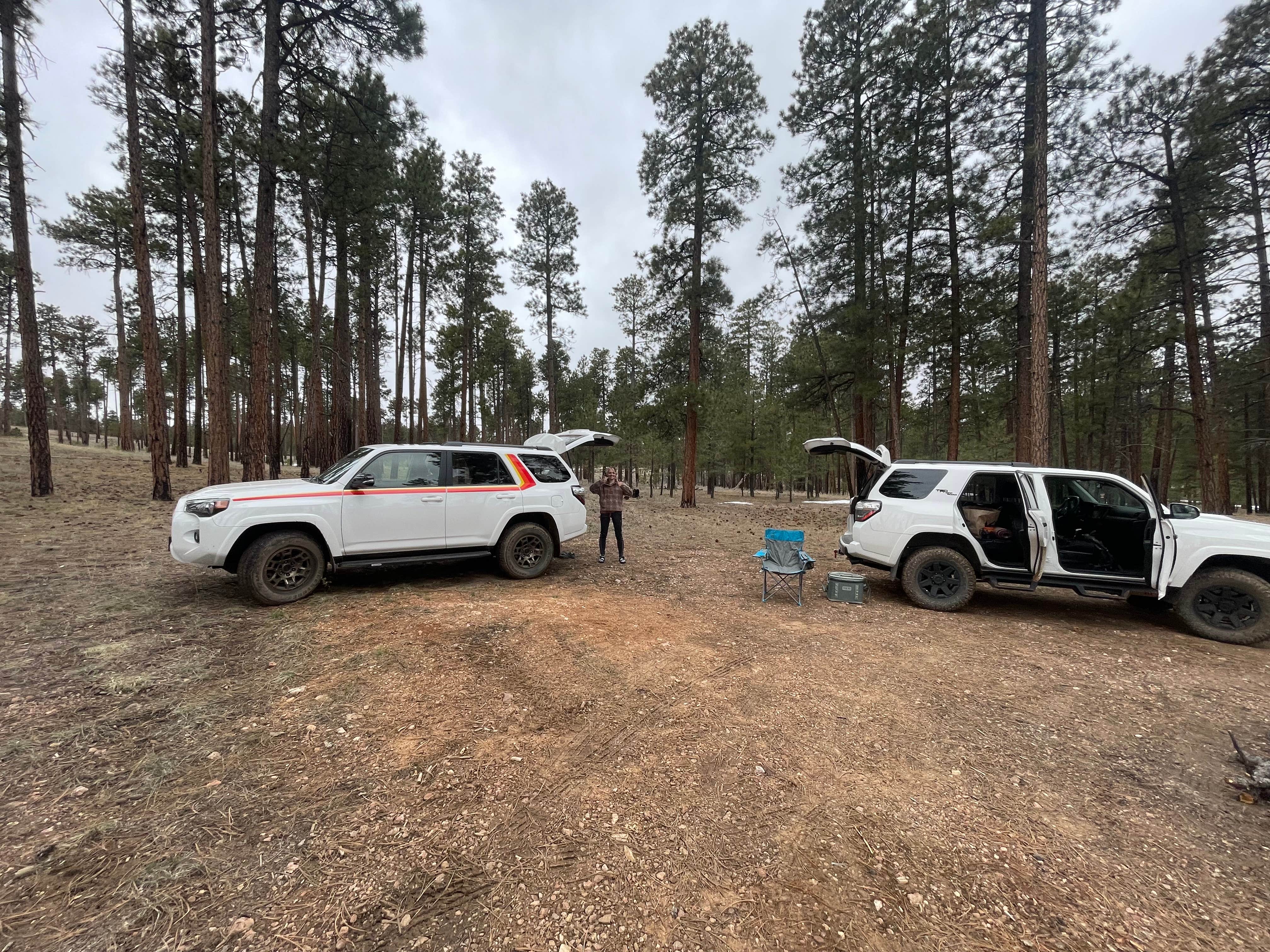 Camper submitted image from Forest Service #225 Road Dispersed Camping - 4