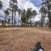 Review photo of Forest Service #225 Road Dispersed Camping by Jeremy H., May 17, 2024