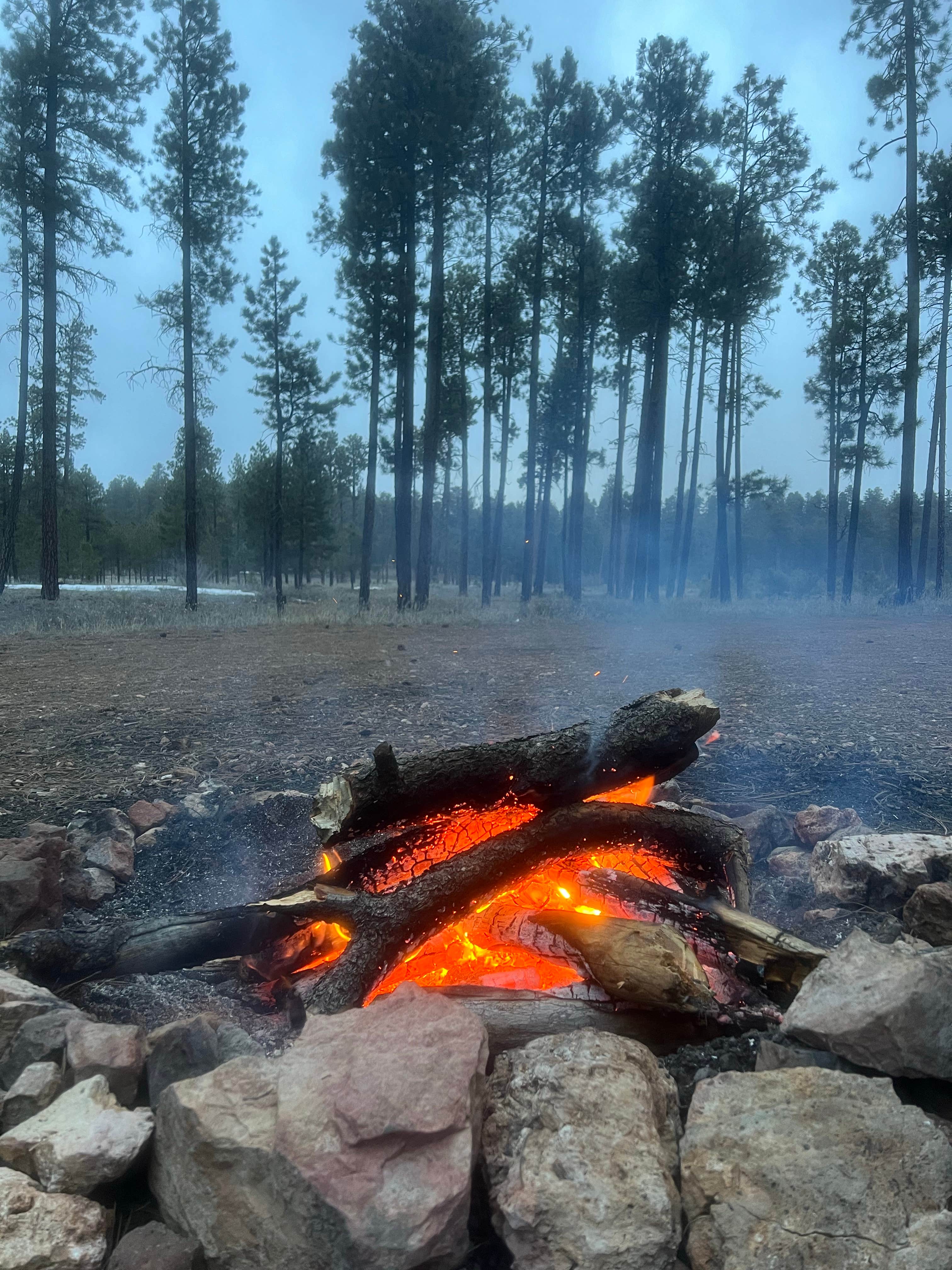 Camper submitted image from Forest Service #225 Road Dispersed Camping - 1