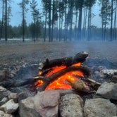 Review photo of Forest Service #225 Road Dispersed Camping by Erin S., April 6, 2024