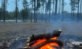 Camping near Kaibab Camper Village: Forest Service #225 Road Dispersed Camping, Jacob Lake, Arizona
