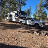 Review photo of Forest Service #225 Road Dispersed Camping by Kerry T., December 31, 2024