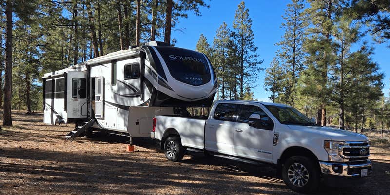 Camper submitted image from Forest Service #225 Road Dispersed Camping