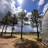 Review photo of Forest Service #225 Road Dispersed Camping by Jeremy H., May 17, 2024