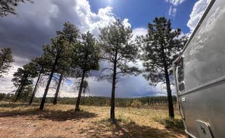 Jeremy H.'s photo of a dispersed camping area at Forest Service #225 Road Dispersed Camping near Jacob Lake, AZ