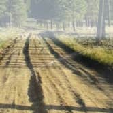 Review photo of Forest Service #247 Road Dispersed Camping by Momo H., May 13, 2025