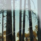 Review photo of Forest Service #247 Road Dispersed Camping by Momo H., May 13, 2025
