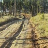 Review photo of Forest Service #247 Road Dispersed Camping by Momo H., May 13, 2025