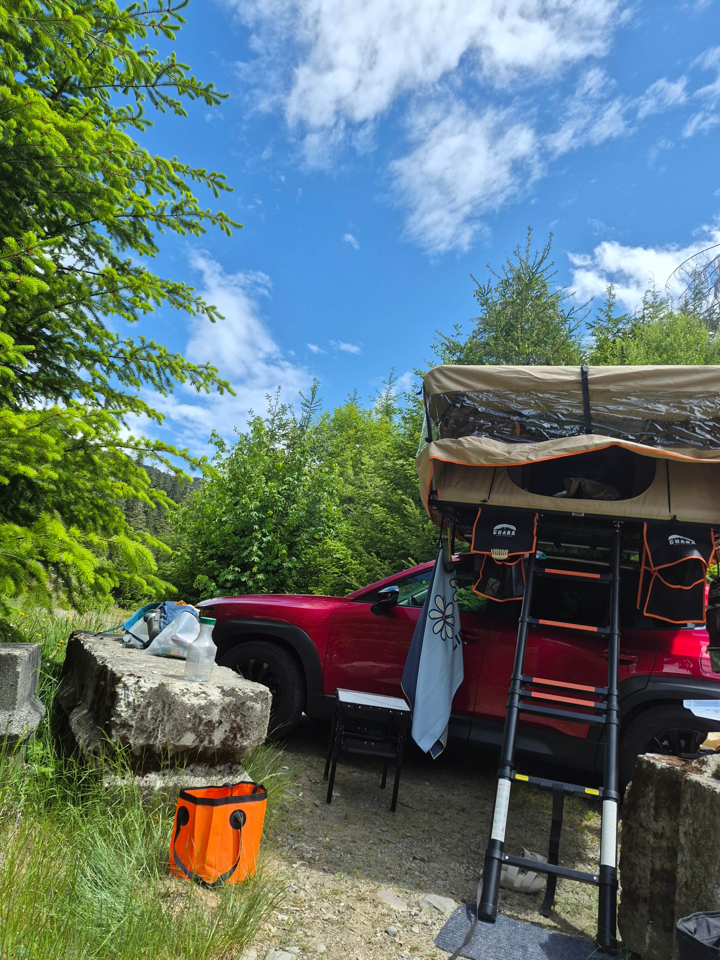 Camper-submitted photo at Forest Service 2918 near Joyce, WA