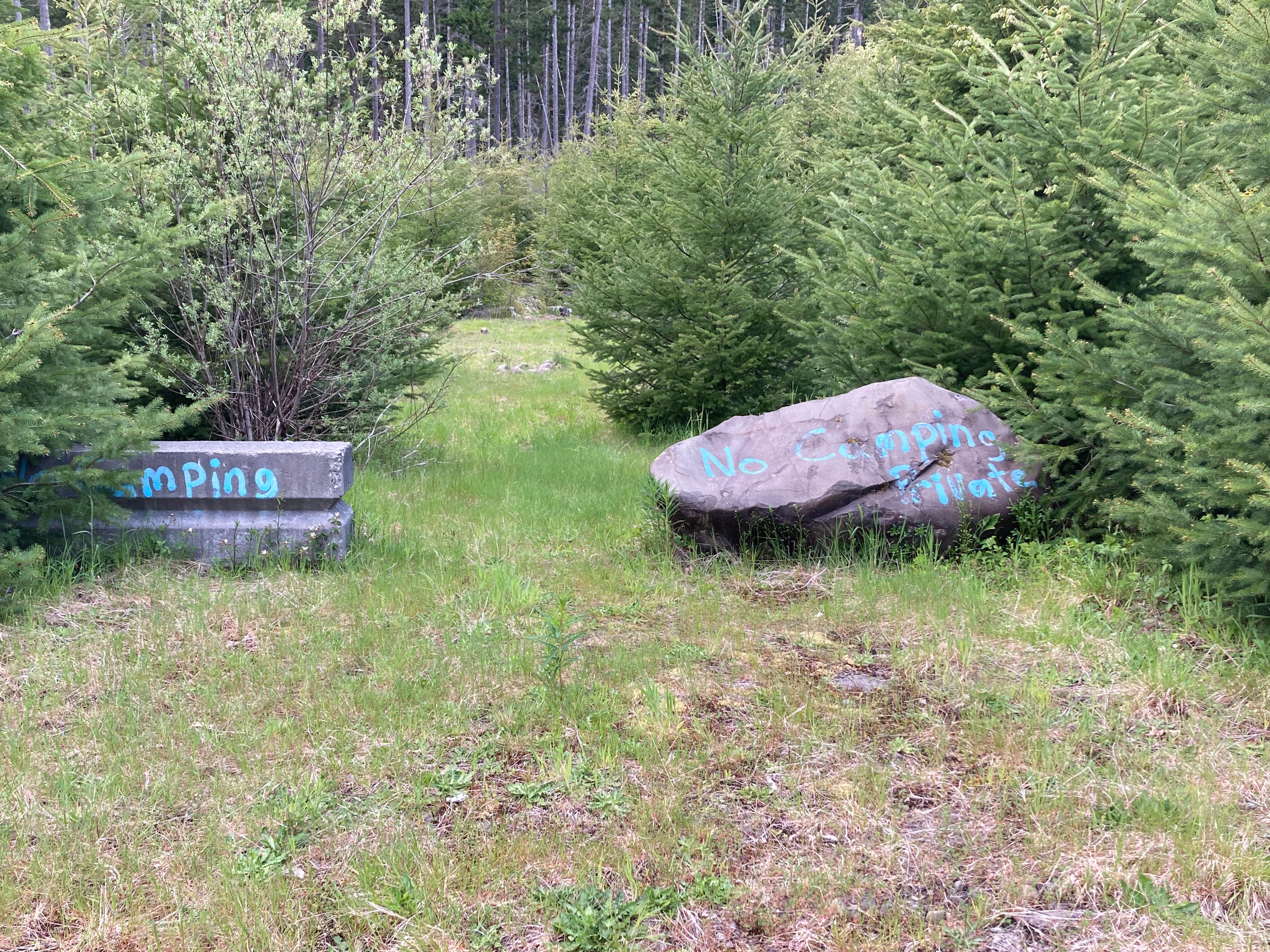 Camping near Forest Road 2918 Dispersed Site: Forest Service 2918, Joyce, Washington