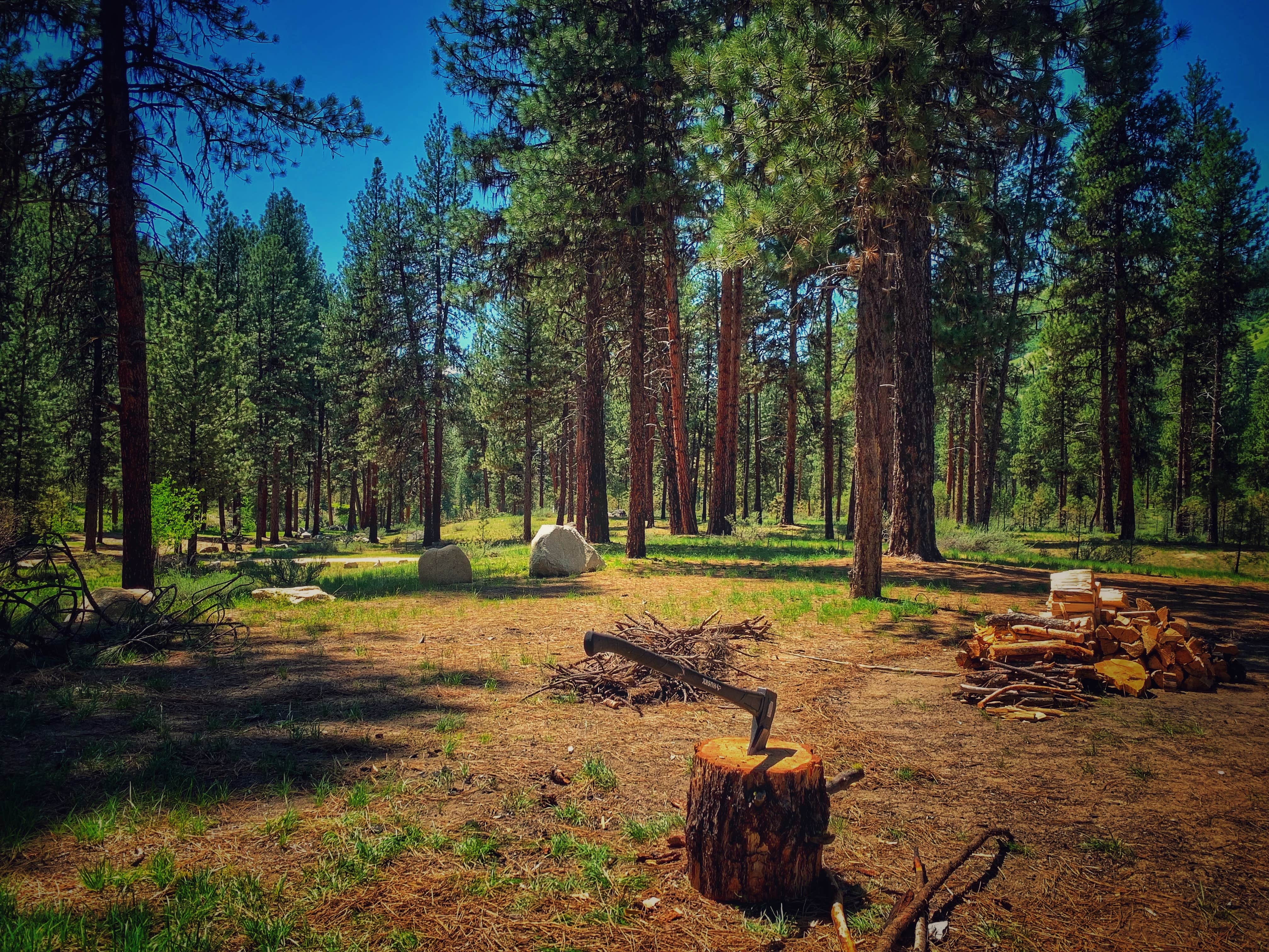 Camper-submitted photo at Forest Service Campsite FR0215B Dispersed near Banks, ID