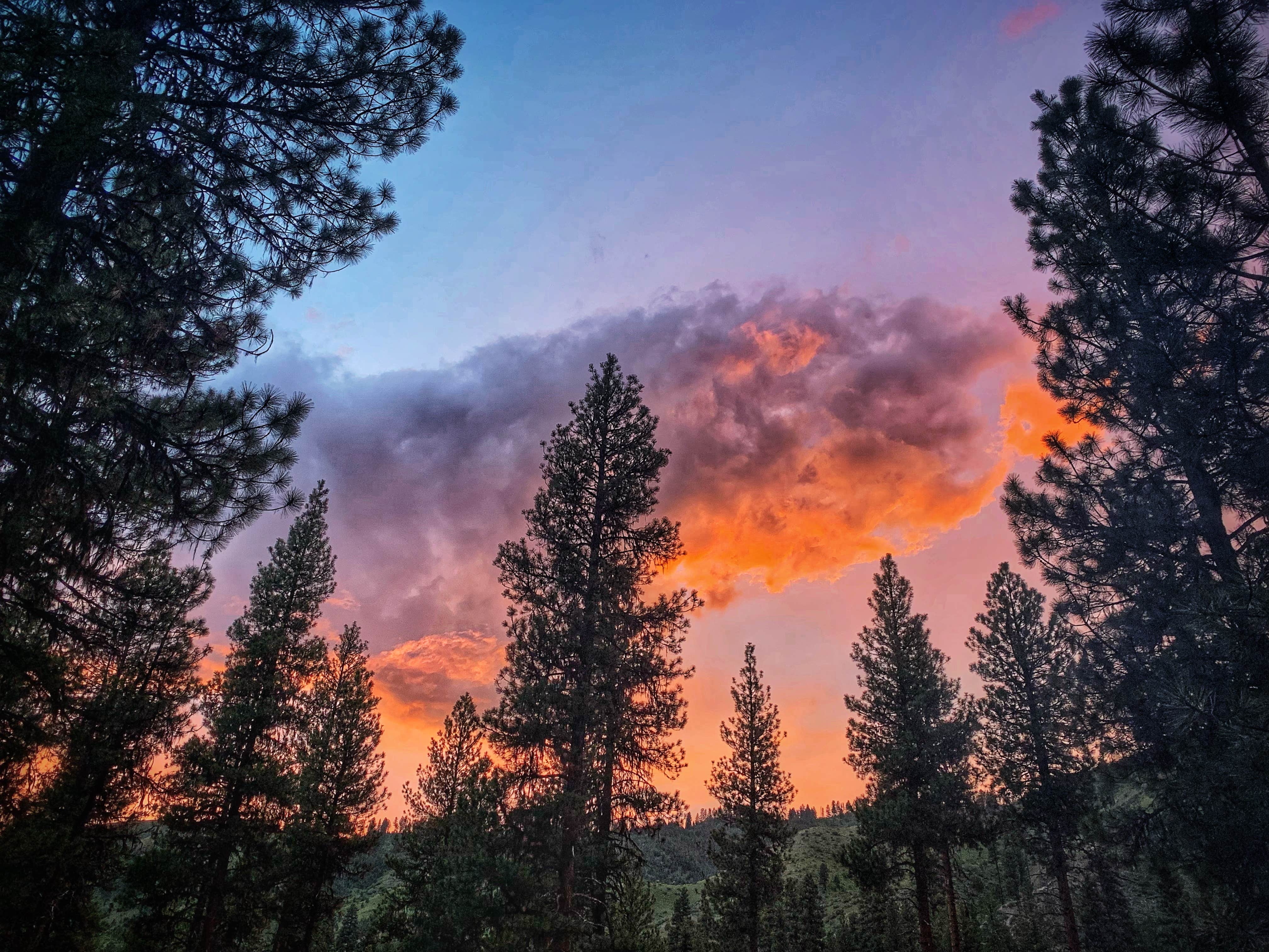 Sadie P.'s photo of a dispersed camping area at Forest Service Campsite FR0215B Dispersed near Banks, ID