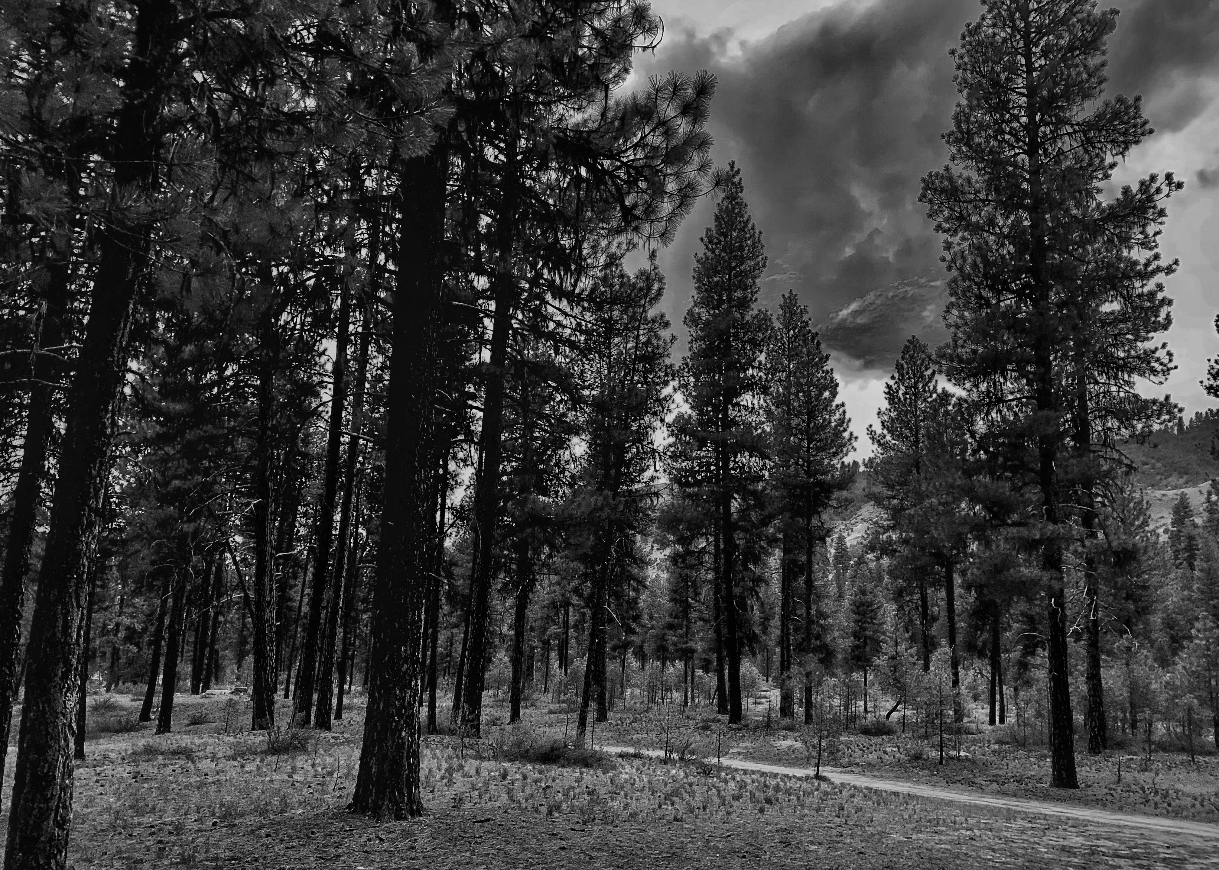 Camping near Graham Cabin: Forest Service Campsite FR0215B Dispersed, Lowman, Idaho