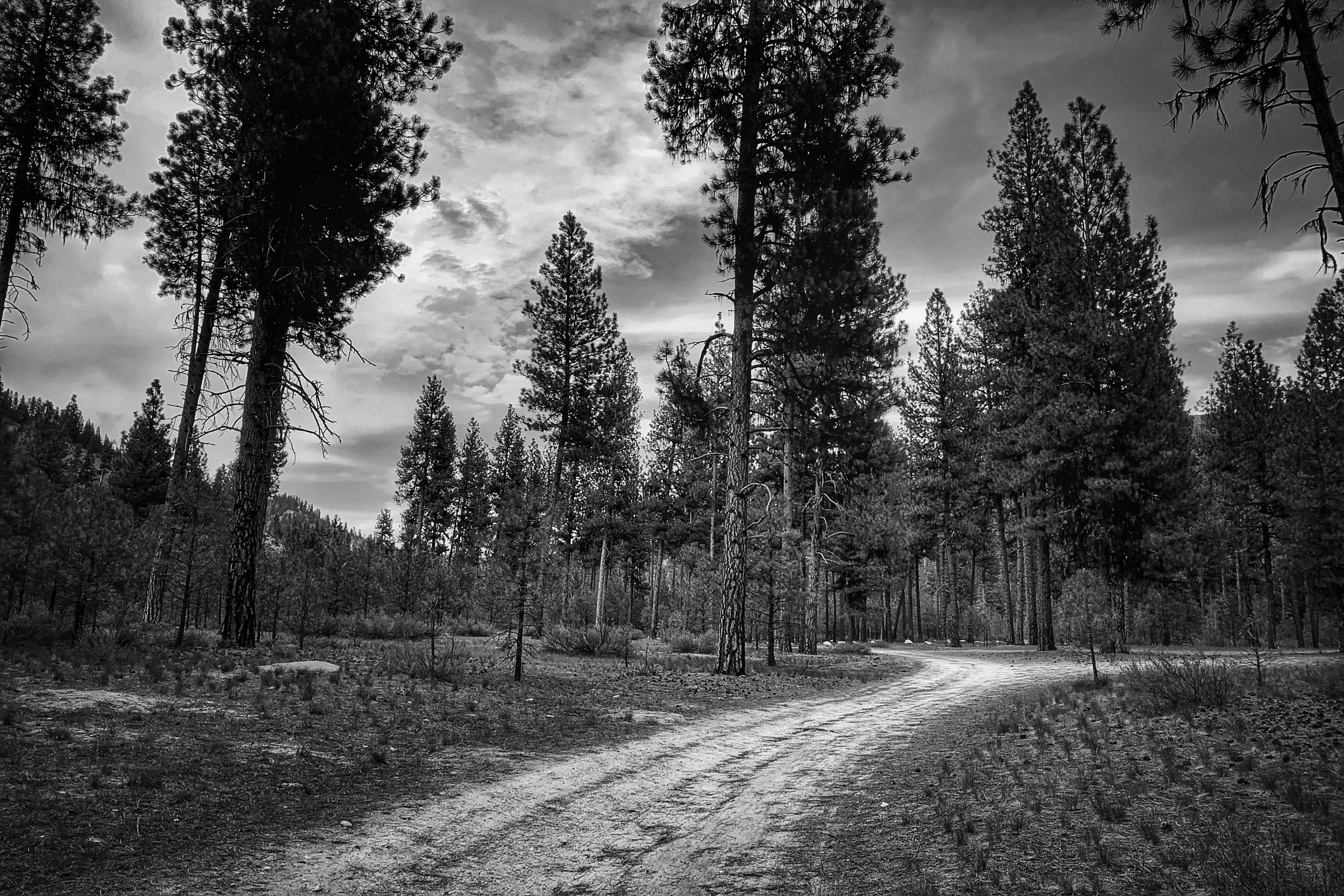 Camper-submitted photo at Forest Service Campsite FR0215B Dispersed near Banks, ID