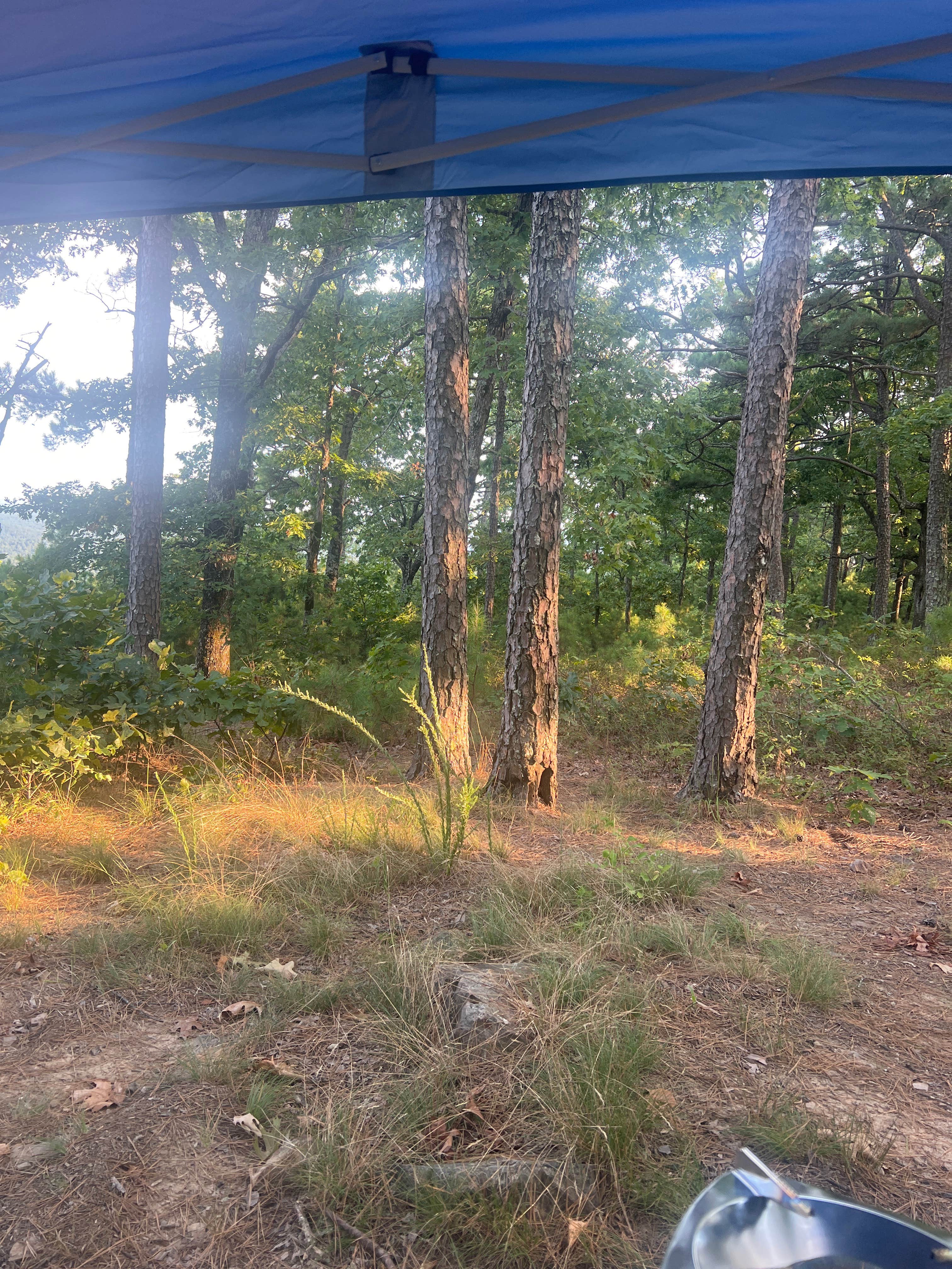 Camper-submitted photo at Forest Service RD 132 Ouachita National Forest near Casa, AR