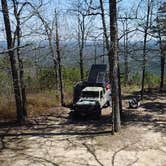 Review photo of Forest Service RD 132 Ouachita National Forest by Jacob F., March 29, 2024