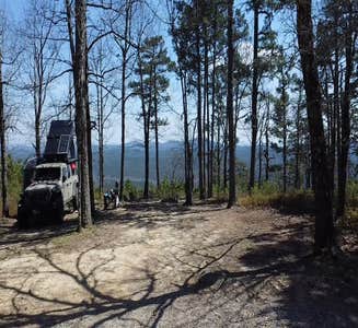 Camper-submitted photo from Forest Service RD 132 Ouachita National Forest
