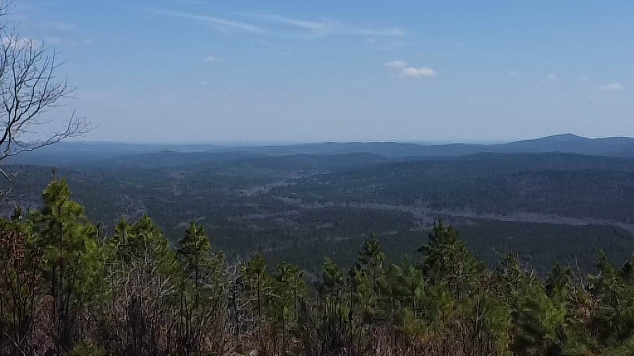 Forest Service RD 132 Ouachita National Forest