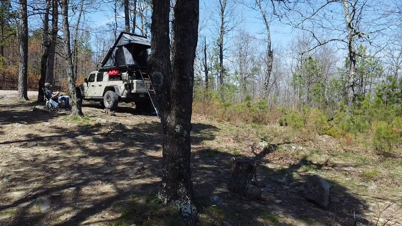 Camper submitted image from Forest Service RD 132 Ouachita National Forest - 4