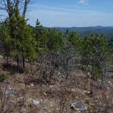 Review photo of Forest Service RD 132 Ouachita National Forest by Jacob F., March 29, 2024