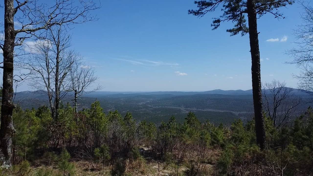 Forest Service RD 132 Ouachita National Forest