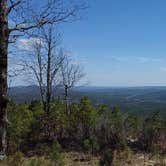 Review photo of Forest Service RD 132 Ouachita National Forest by Jacob F., March 29, 2024