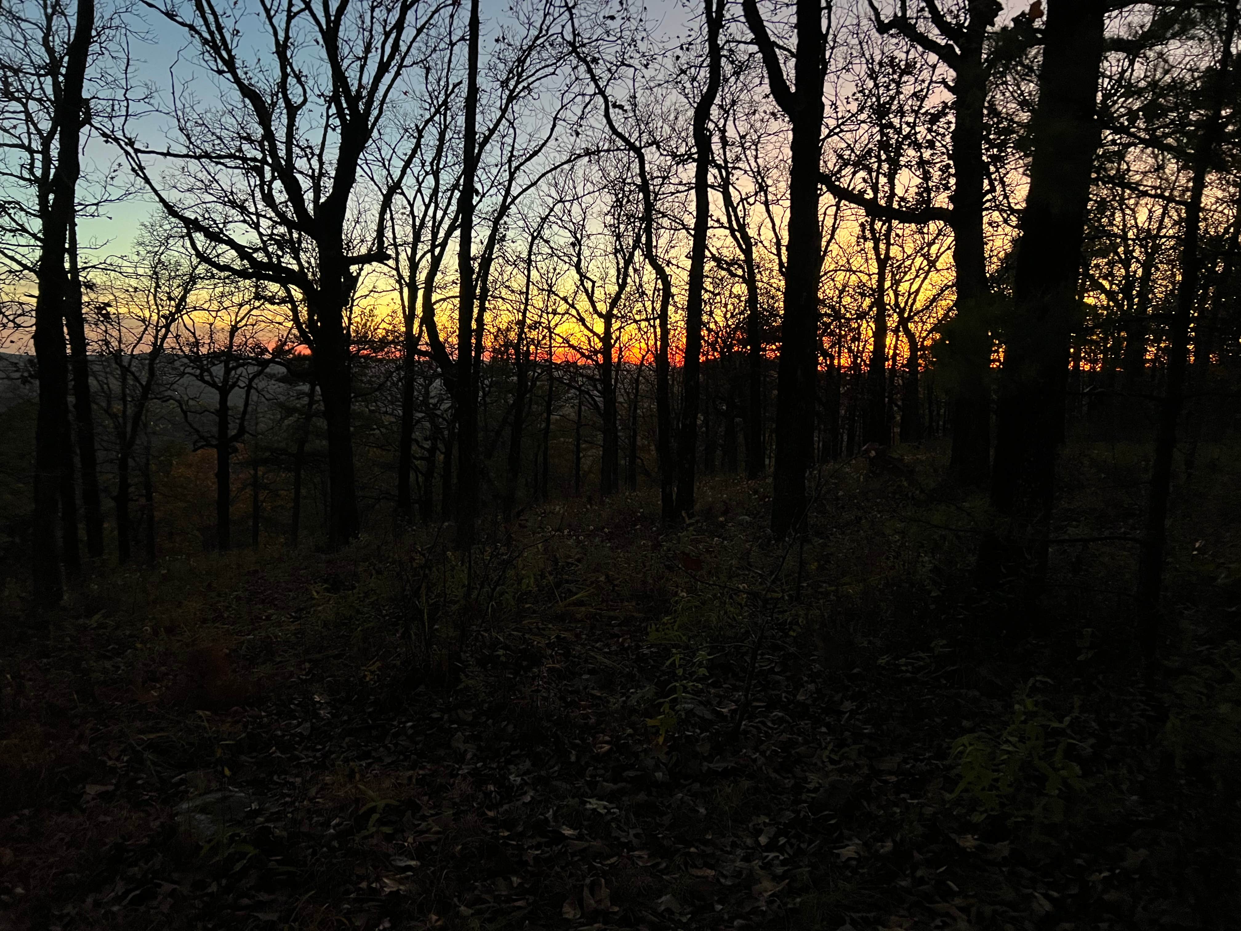 Logan R.'s photo of a dispersed camping area at Forest Service RD 153 Ouachita National Forest near Royal, AR