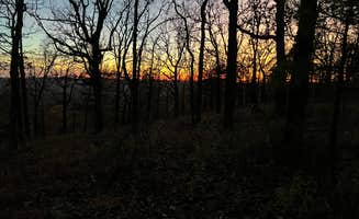 Logan R.'s photo of a dispersed camping area at Forest Service RD 153 Ouachita National Forest near Hot Springs, AR