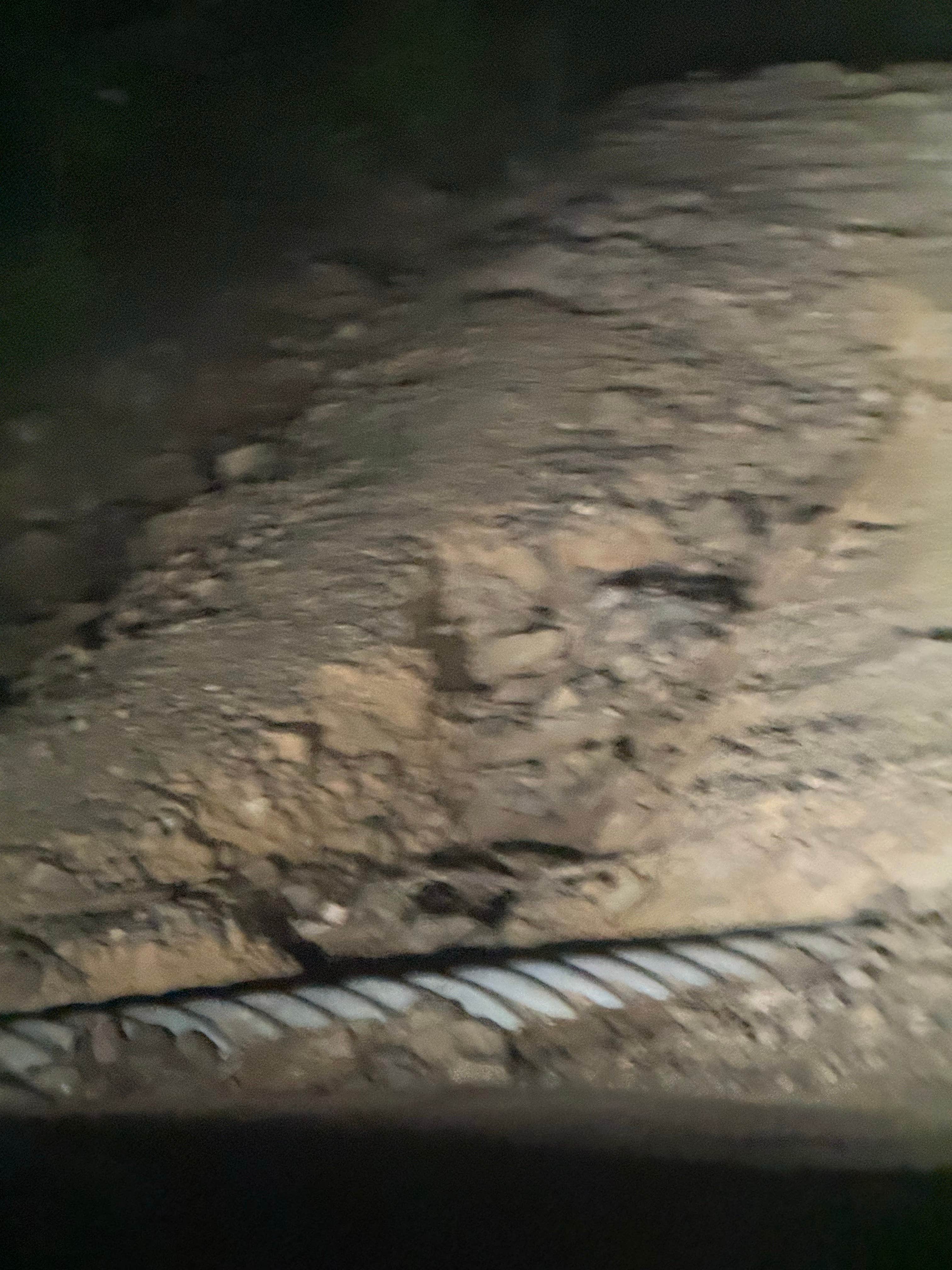 Camper-submitted photo at Forest Service RD 153 Ouachita National Forest near Royal, AR