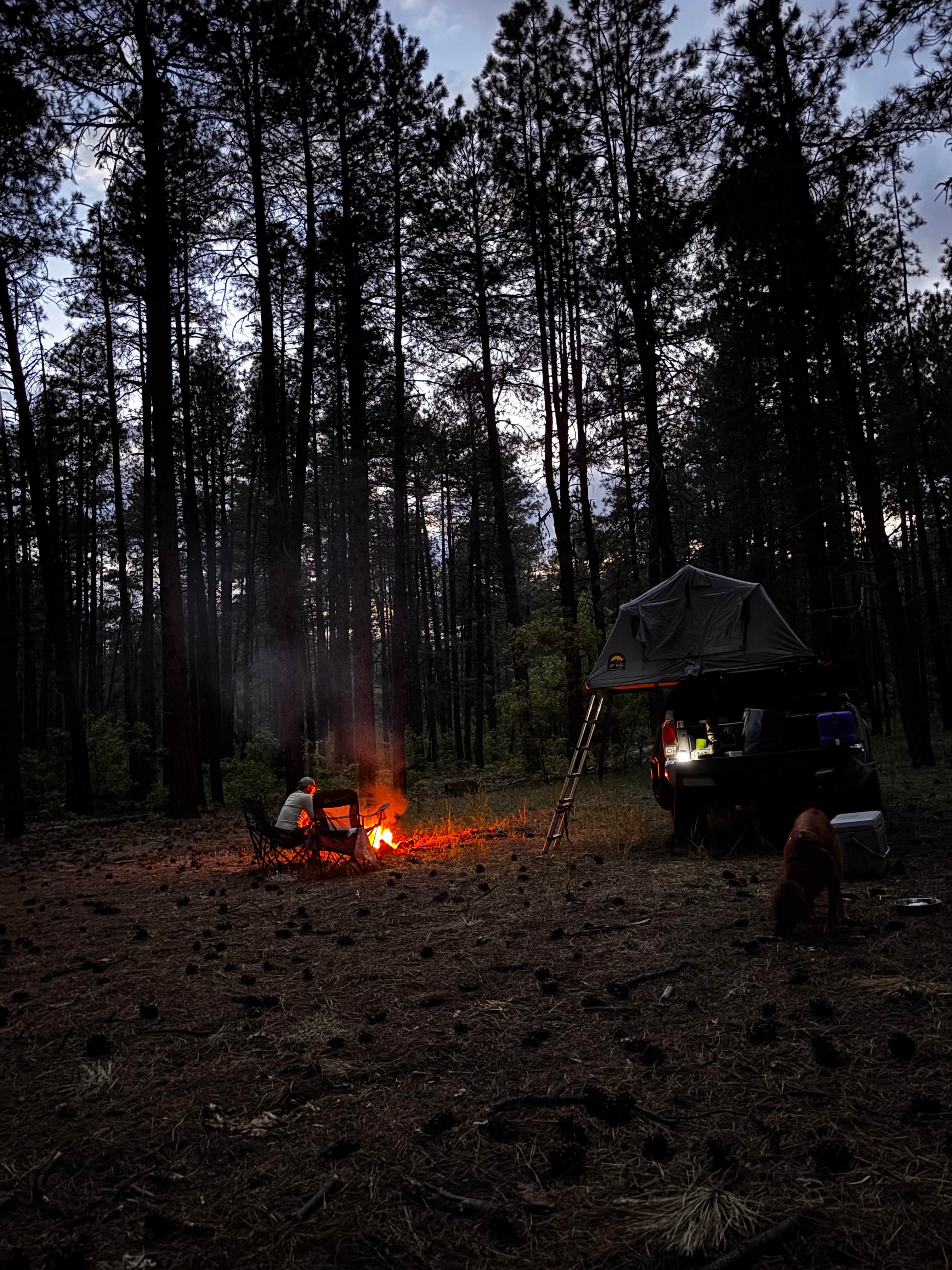 Joshua M.'s photo of tent camping at Forest Service Rd 253 Dispersed near Camp Verde, AZ