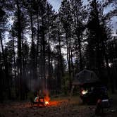 Review photo of Forest Service Rd 253 Dispersed by Joshua M., July 11, 2025