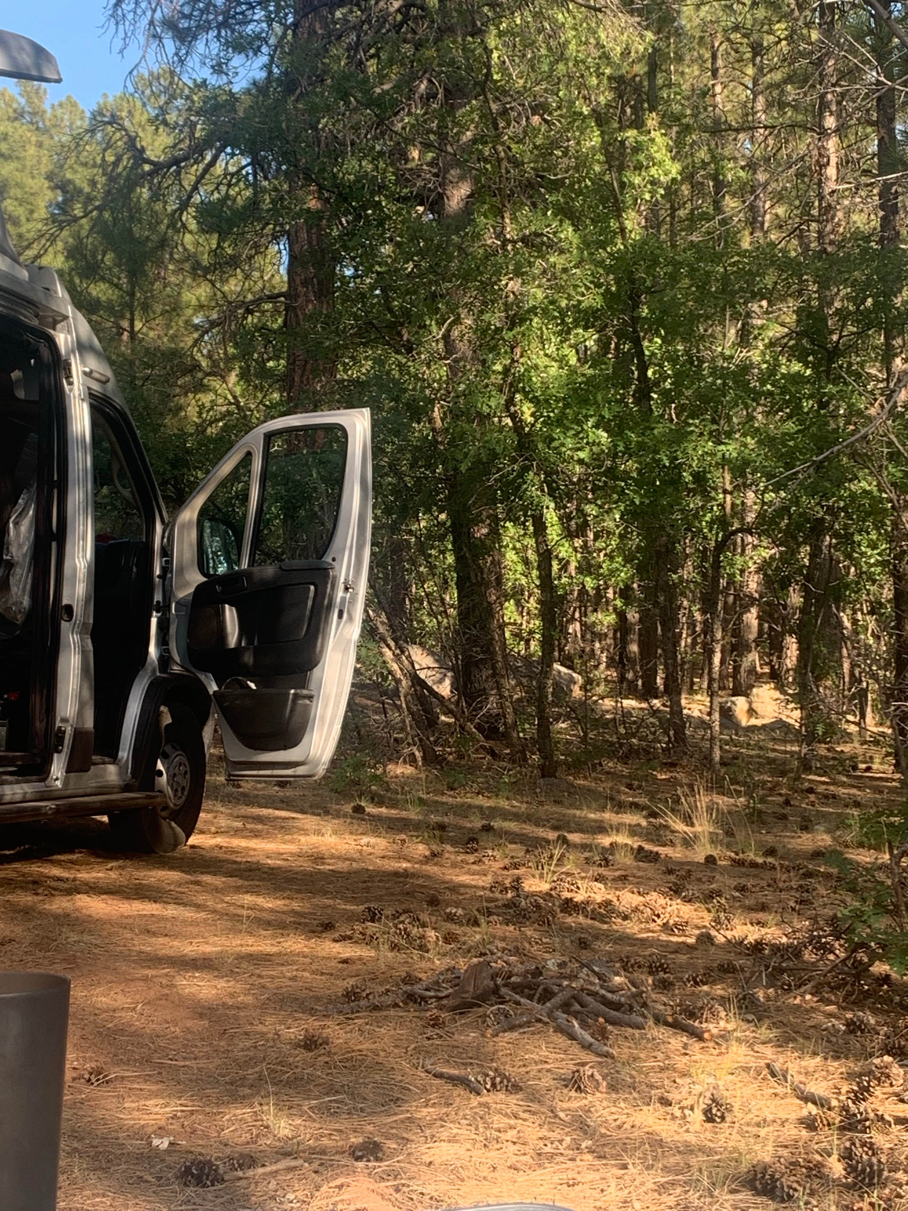 Camper submitted image from Forest Service Rd 253 Dispersed - 4