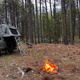 Review photo of Forest Service Rd 253 Dispersed by Joshua M., July 11, 2025