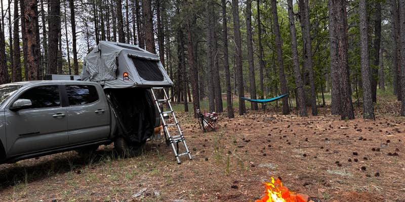 Camper submitted image from Forest Service Rd 253 Dispersed