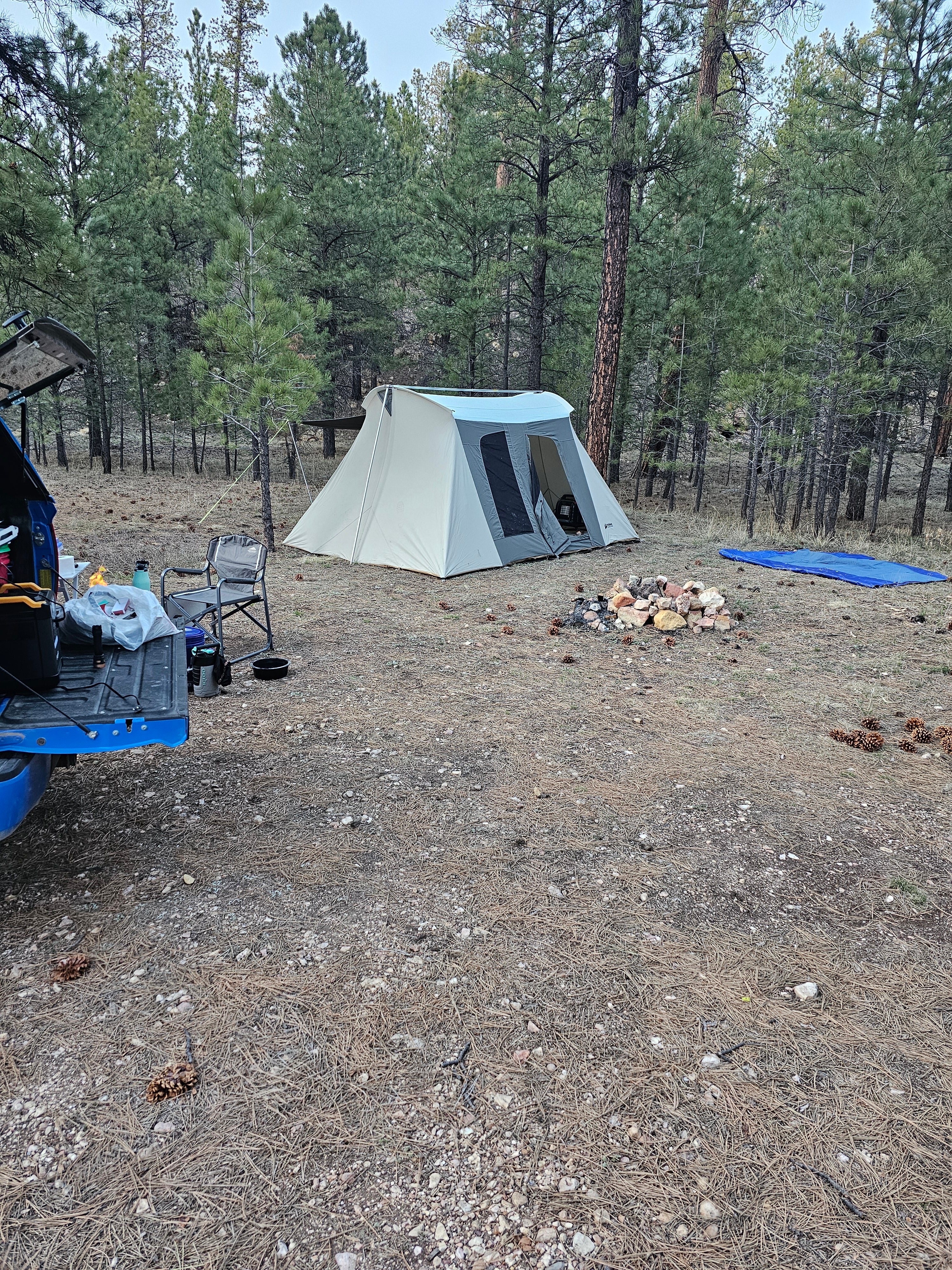 Camper submitted image from Forest Service Road #205 Lower Dispersed Camping - 1