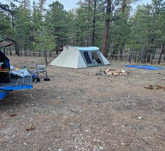 Camper-submitted photo from Forest Service Road #205 Lower Dispersed Camping