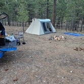 Review photo of Forest Service Road #205 Lower Dispersed Camping by Barbara L., April 23, 2024